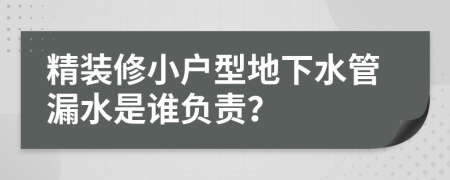 精装修小户型地下水管漏水是谁负责？