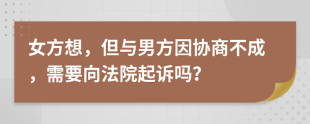 女方想，但与男方因协商不成，需要向法院起诉吗？