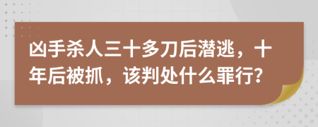 凶手杀人三十多刀后潜逃，十年后被抓，该判处什么罪行？