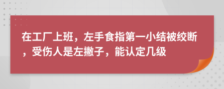 在工厂上班，左手食指第一小结被绞断，受伤人是左撇子，能认定几级