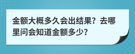 金额大概多久会出结果？去哪里问会知道金额多少？