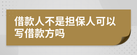 借款人不是担保人可以写借款方吗