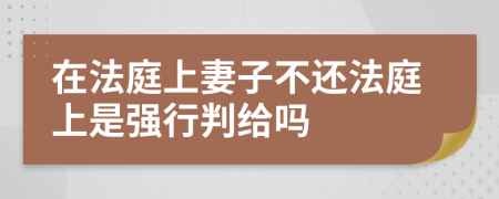 在法庭上妻子不还法庭上是强行判给吗