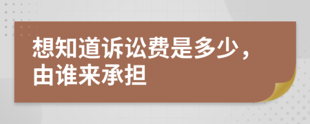 想知道诉讼费是多少，由谁来承担
