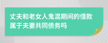 丈夫和老女人鬼混期间的借款属于夫妻共同债务吗