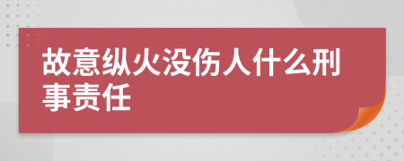 故意纵火没伤人什么刑事责任