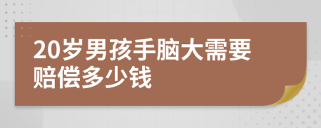 20岁男孩手脑大需要赔偿多少钱