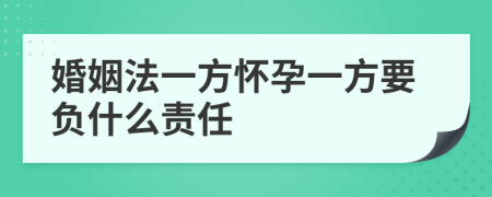 婚姻法一方怀孕一方要负什么责任