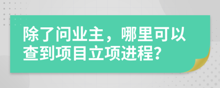 除了问业主，哪里可以查到项目立项进程？