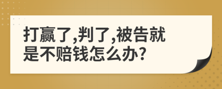 打赢了,判了,被告就是不赔钱怎么办?