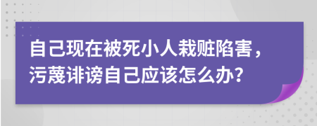 自己现在被死小人栽赃陷害，污蔑诽谤自己应该怎么办？