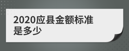 2020应县金额标准是多少