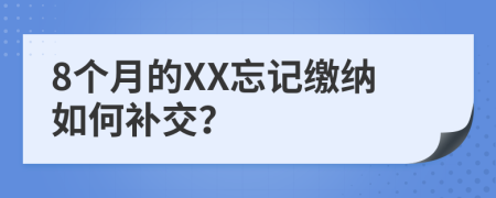 8个月的XX忘记缴纳如何补交？