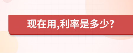 现在用,利率是多少?