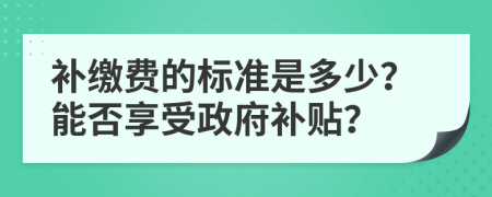 补缴费的标准是多少？能否享受政府补贴？