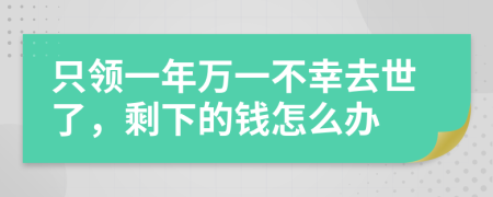 只领一年万一不幸去世了，剩下的钱怎么办