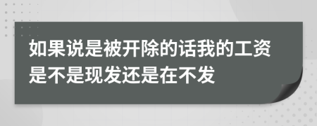 如果说是被开除的话我的工资是不是现发还是在不发