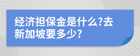 经济担保金是什么?去新加坡要多少?