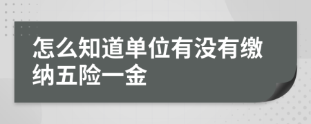 怎么知道单位有没有缴纳五险一金