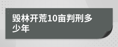 毁林开荒10亩判刑多少年