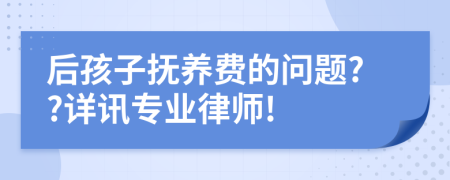 后孩子抚养费的问题??详讯专业律师!