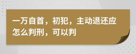 一万自首，初犯，主动退还应怎么判刑，可以判