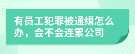 有员工犯罪被通缉怎么办，会不会连累公司