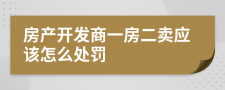 房产开发商一房二卖应该怎么处罚