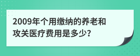 2009年个用缴纳的养老和攻关医疗费用是多少？