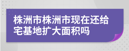 株洲市株洲市现在还给宅基地扩大面积吗