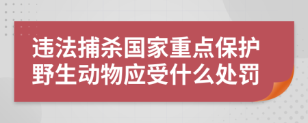 违法捕杀国家重点保护野生动物应受什么处罚