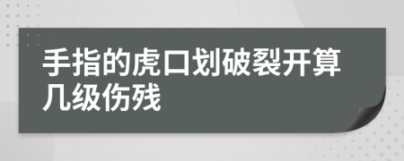 手指的虎口划破裂开算几级伤残