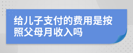 给儿子支付的费用是按照父母月收入吗