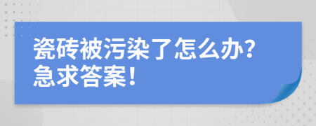 瓷砖被污染了怎么办？急求答案！