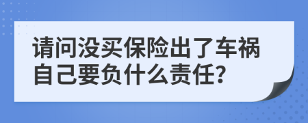 请问没买保险出了车祸自己要负什么责任？