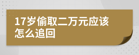 17岁偷取二万元应该怎么追回