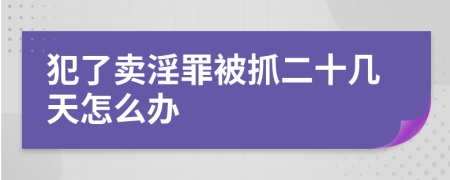 犯了卖淫罪被抓二十几天怎么办