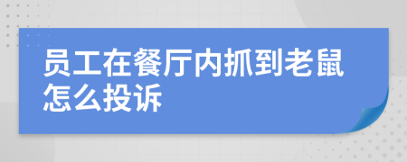 员工在餐厅内抓到老鼠怎么投诉