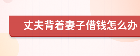 丈夫背着妻子借钱怎么办