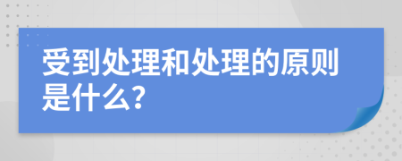 受到处理和处理的原则是什么？