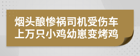烟头酿惨祸司机受伤车上万只小鸡幼崽变烤鸡