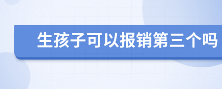 生孩子可以报销第三个吗