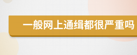 一般网上通缉都很严重吗
