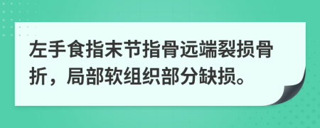 左手食指末节指骨远端裂损骨折，局部软组织部分缺损。