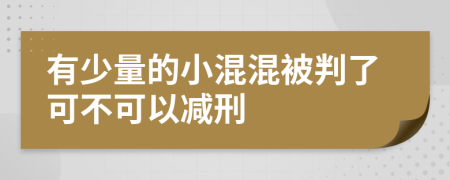 有少量的小混混被判了可不可以减刑