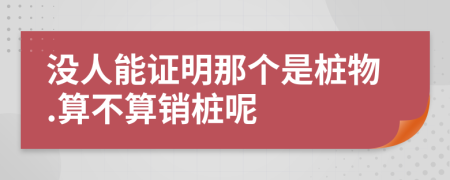 没人能证明那个是桩物.算不算销桩呢