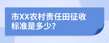 市XX农村责任田征收标准是多少？