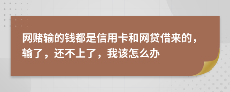 网赌输的钱都是信用卡和网贷借来的，输了，还不上了，我该怎么办