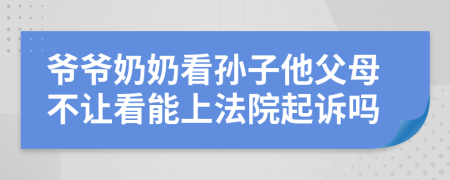 爷爷奶奶看孙子他父母不让看能上法院起诉吗