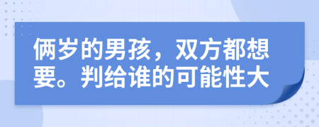 俩岁的男孩，双方都想要。判给谁的可能性大